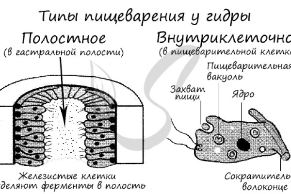 Что такое кракен 2024 маркетплейс